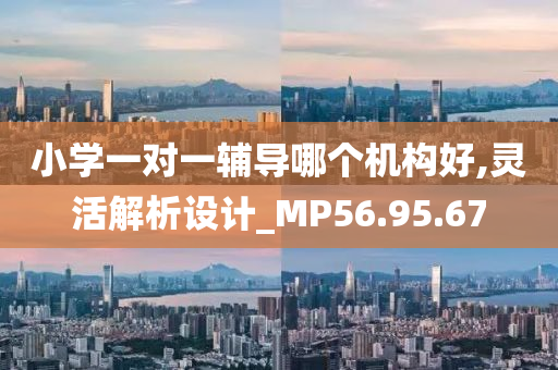 小学一对一辅导哪个机构好,灵活解析设计_MP56.95.67