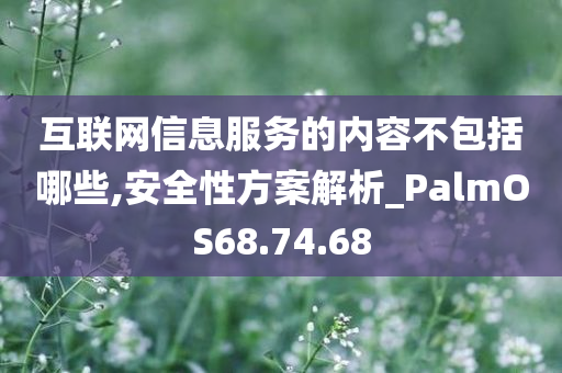 互联网信息服务的内容不包括哪些,安全性方案解析_PalmOS68.74.68