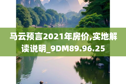 马云预言2021年房价,实地解读说明_9DM89.96.25