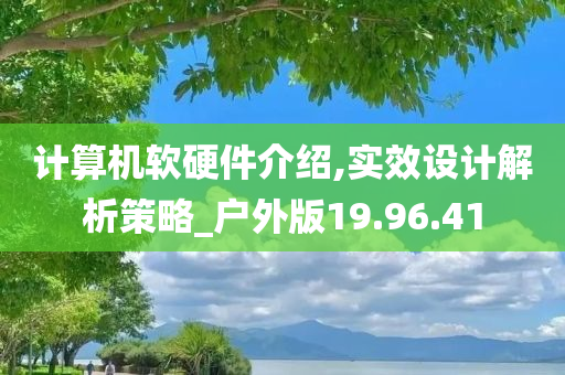 计算机软硬件介绍,实效设计解析策略_户外版19.96.41