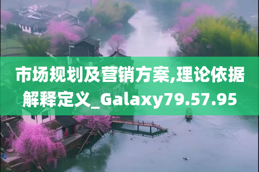 市场规划及营销方案,理论依据解释定义_Galaxy79.57.95