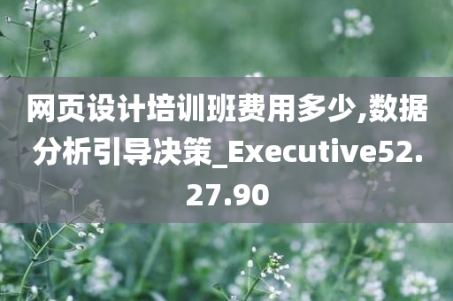 网页设计培训班费用多少,数据分析引导决策_Executive52.27.90