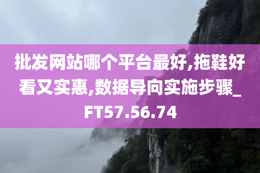 批发网站哪个平台最好,拖鞋好看又实惠,数据导向实施步骤_FT57.56.74