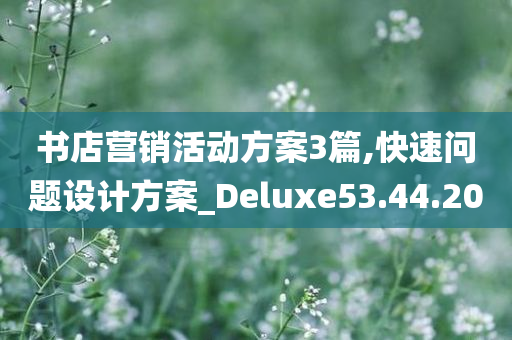 书店营销活动方案3篇,快速问题设计方案_Deluxe53.44.20