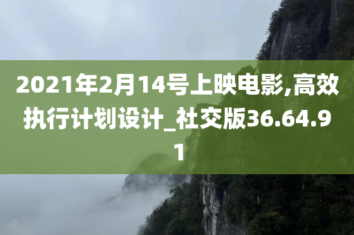 2021年2月14号上映电影,高效执行计划设计_社交版36.64.91