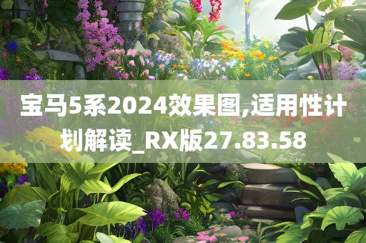 宝马5系2024效果图,适用性计划解读_RX版27.83.58