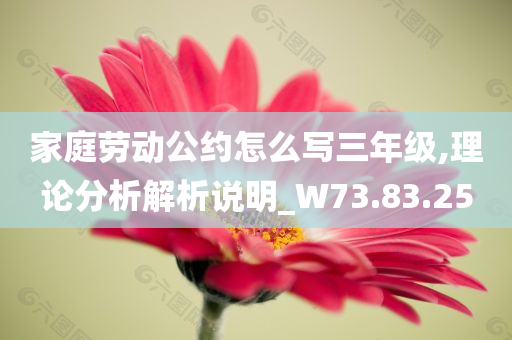 家庭劳动公约怎么写三年级,理论分析解析说明_W73.83.25