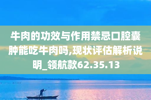 牛肉的功效与作用禁忌口腔囊肿能吃牛肉吗,现状评估解析说明_领航款62.35.13