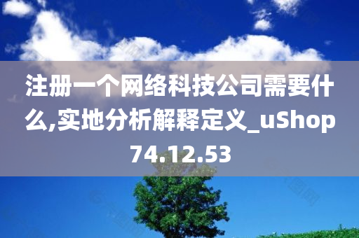 注册一个网络科技公司需要什么,实地分析解释定义_uShop74.12.53