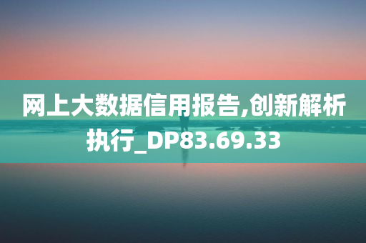 网上大数据信用报告,创新解析执行_DP83.69.33