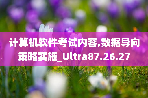 计算机软件考试内容,数据导向策略实施_Ultra87.26.27