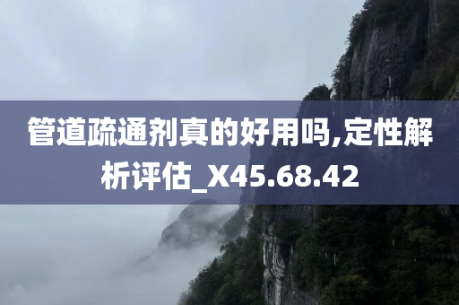 管道疏通剂真的好用吗,定性解析评估_X45.68.42