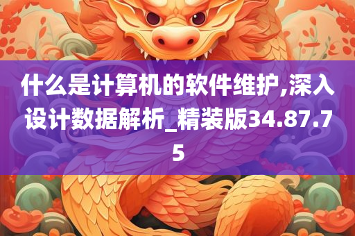 什么是计算机的软件维护,深入设计数据解析_精装版34.87.75