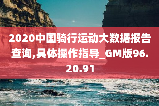 2020中国骑行运动大数据报告查询,具体操作指导_GM版96.20.91