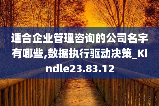 适合企业管理咨询的公司名字有哪些,数据执行驱动决策_Kindle23.83.12