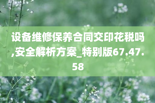 设备维修保养合同交印花税吗,安全解析方案_特别版67.47.58