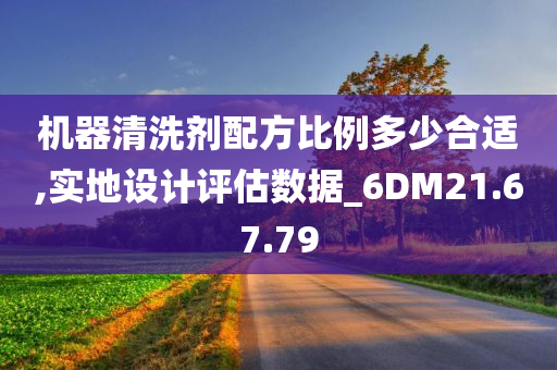 机器清洗剂配方比例多少合适,实地设计评估数据_6DM21.67.79