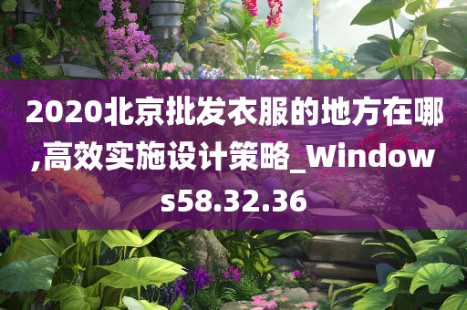 2020北京批发衣服的地方在哪,高效实施设计策略_Windows58.32.36