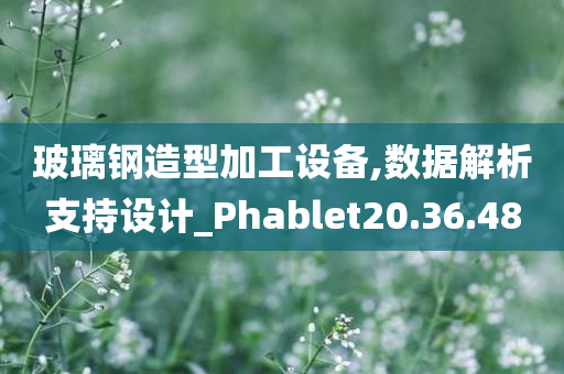 玻璃钢造型加工设备,数据解析支持设计_Phablet20.36.48