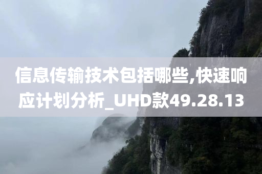 信息传输技术包括哪些,快速响应计划分析_UHD款49.28.13