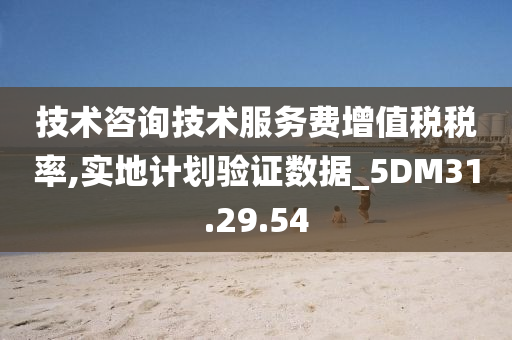 技术咨询技术服务费增值税税率,实地计划验证数据_5DM31.29.54