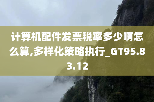 计算机配件发票税率多少啊怎么算,多样化策略执行_GT95.83.12