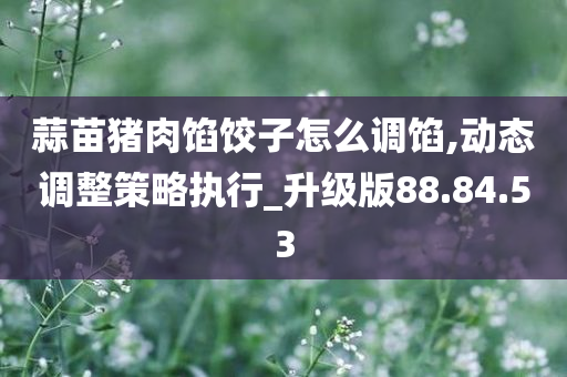 蒜苗猪肉馅饺子怎么调馅,动态调整策略执行_升级版88.84.53