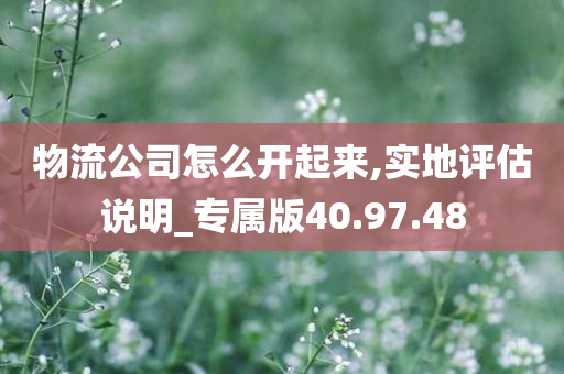 物流公司怎么开起来,实地评估说明_专属版40.97.48