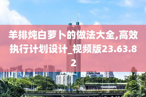 羊排炖白萝卜的做法大全,高效执行计划设计_视频版23.63.82