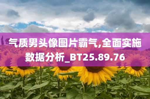 气质男头像图片霸气,全面实施数据分析_BT25.89.76