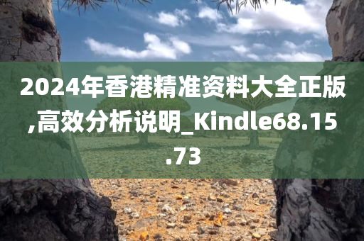 2024年香港精准资料大全正版,高效分析说明_Kindle68.15.73