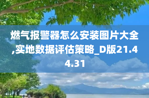 燃气报警器怎么安装图片大全,实地数据评估策略_D版21.44.31