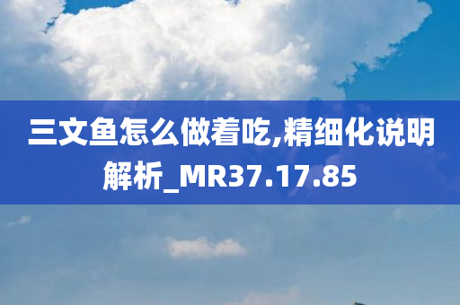 三文鱼怎么做着吃,精细化说明解析_MR37.17.85