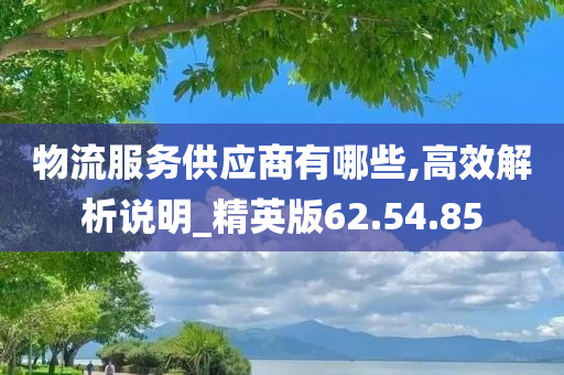 物流服务供应商有哪些,高效解析说明_精英版62.54.85