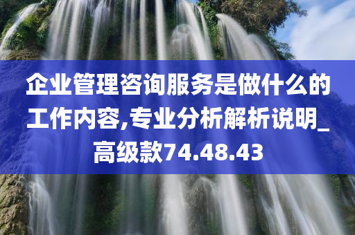 企业管理咨询服务是做什么的工作内容,专业分析解析说明_高级款74.48.43