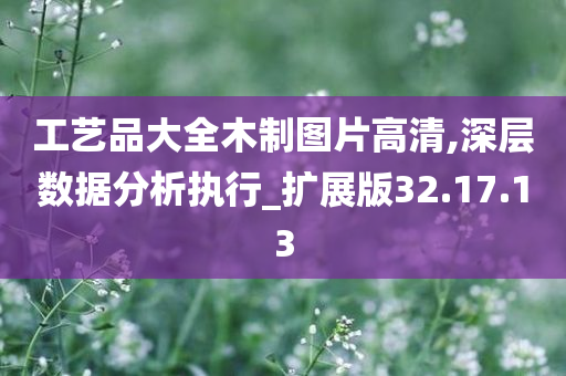 工艺品大全木制图片高清,深层数据分析执行_扩展版32.17.13