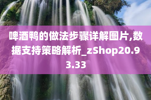 啤酒鸭的做法步骤详解图片,数据支持策略解析_zShop20.93.33