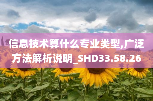 信息技术算什么专业类型,广泛方法解析说明_SHD33.58.26