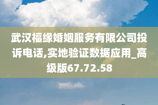 武汉福缘婚姻服务有限公司投诉电话,实地验证数据应用_高级版67.72.58