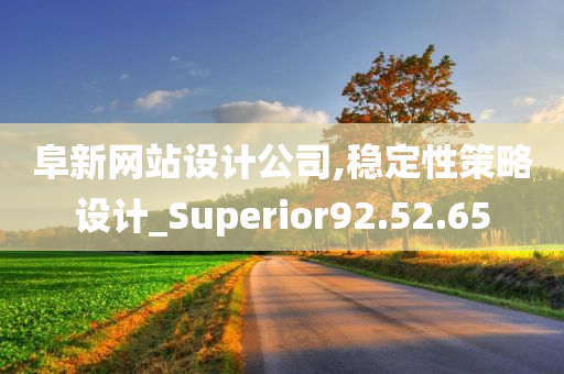 阜新网站设计公司,稳定性策略设计_Superior92.52.65