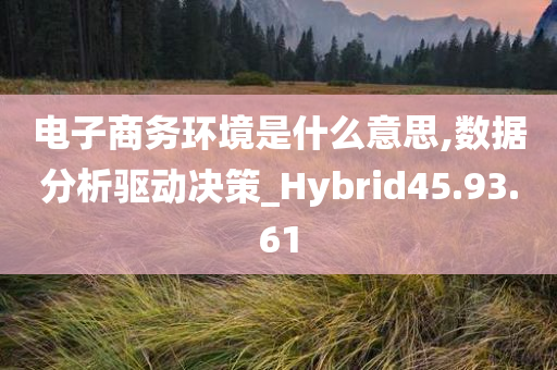 电子商务环境是什么意思,数据分析驱动决策_Hybrid45.93.61