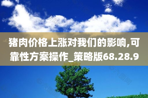 猪肉价格上涨对我们的影响,可靠性方案操作_策略版68.28.90