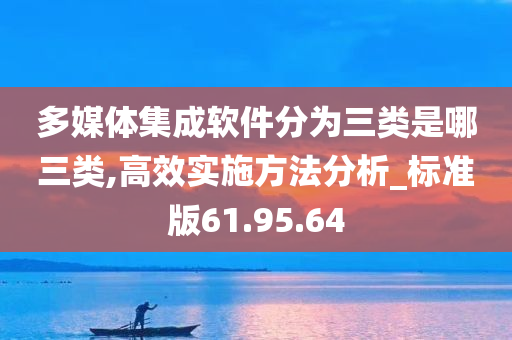 多媒体集成软件分为三类是哪三类,高效实施方法分析_标准版61.95.64