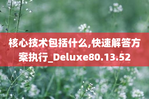 核心技术包括什么,快速解答方案执行_Deluxe80.13.52