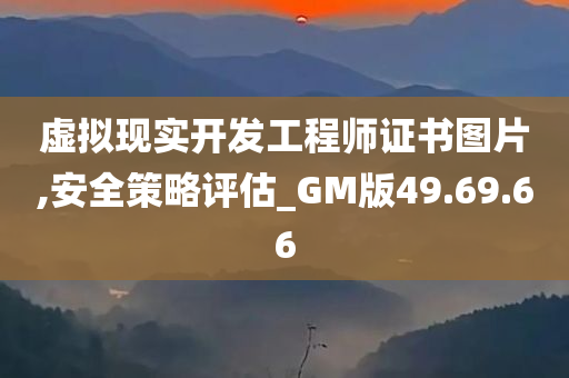 虚拟现实开发工程师证书图片,安全策略评估_GM版49.69.66