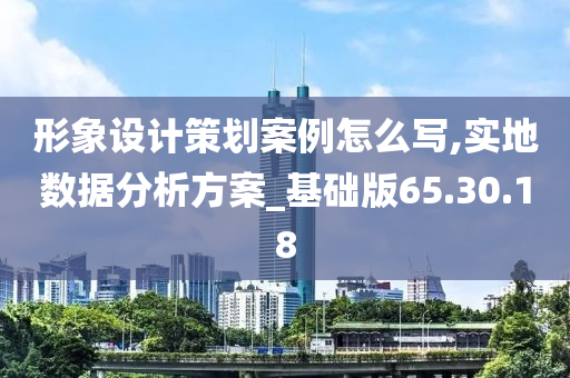 形象设计策划案例怎么写,实地数据分析方案_基础版65.30.18