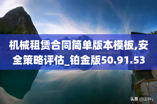 机械租赁合同简单版本模板,安全策略评估_铂金版50.91.53