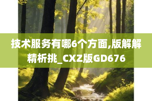 技术服务有哪6个方面,版解解精析挑_CXZ版GD676