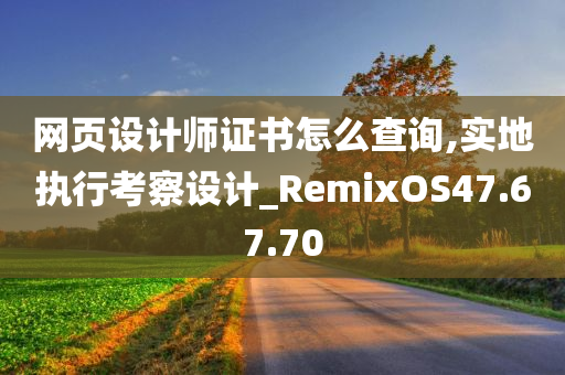 网页设计师证书怎么查询,实地执行考察设计_RemixOS47.67.70