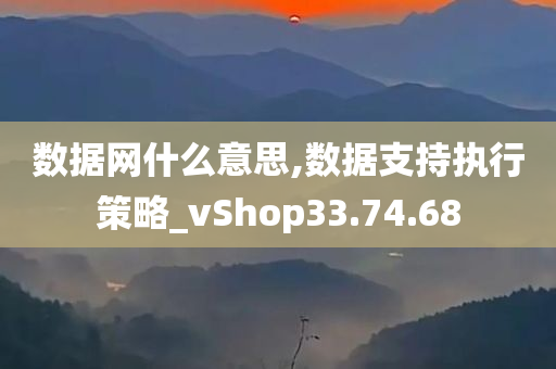 数据网什么意思,数据支持执行策略_vShop33.74.68